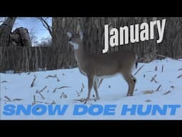 January Snow Doe Hunt | Late Season Bow Hunt | Hunting In The Snow