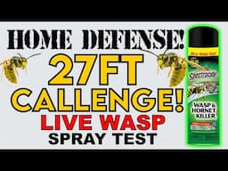 Wasp and Hornet Spray - Spectracide Wasp and Hornet Killer Put to the Test