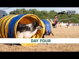 The Kennel Club International Agility Festival 2024 | Day 4 Main Ring