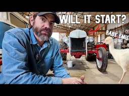 Will It Start? (My Grandad's 40's 8N Tractor) Plus New Emu Update!