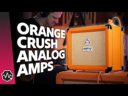 Why CRUSH Should be Your First ANALOG Amp