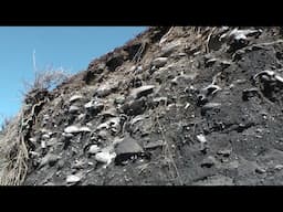 Ancient Abalone Shell Midden Site, Monterey - California