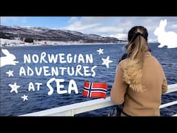 Going to a remote Norwegian island!🇳🇴 + Waffle and ferry vocab ⛴