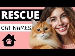 From Forgotten to Loved: Heartwarming Rescue Cat Names