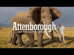 Attenborough and the Giant Elephant | The True Story of Jumbo