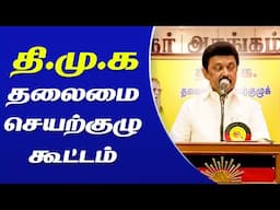 MK Stalin Speech at திமுக தலைமை செயற்குழு கூட்டம் | DMK |