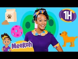 Meekah Visits Rescued Animals At The Shelter |  Meekah | | Celebrating Black History Month