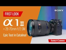 Sony α1 II + 28-70mm f/2 GM First Look: Epic Wildlife & Landscape Test in Catalina!