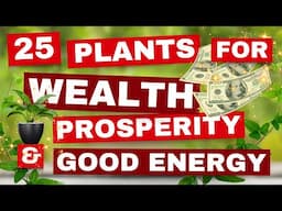 25 Feng Shui Plants That Attract WEALTH, Prosperity, and Good Energy!