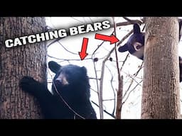 Catching and RELEASING BEARS? - The Reality of Late Season Bear Hunting