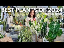 Best Plants of 2024 | My Top Picks & Care Tips