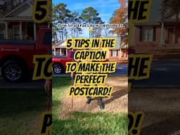 How to design the perfect postcard for your lawn care business