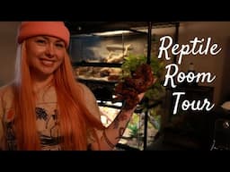 Reptile Room Tour