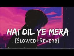 Hai Dil Ye Mera (Slowed+reverb) |Arijit Singh| Meet Bros Anjan| HS2 ❤️