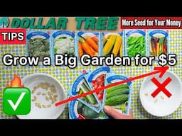 ￼*SUPER TIPS* on Buying Seeds CHEAP￼ to Grow TONS & Where to Buy Vegetable Garden Seed * Dollar Tree