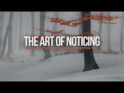 The Art of Noticing in Photography