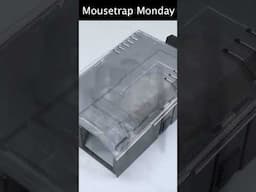 The New VICTOR Catch & Hold Mouse Trap.  #mousetrapmonday