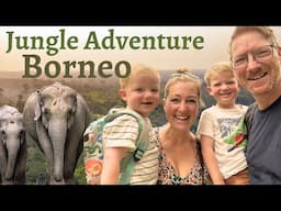 Kids Travel to Borneo looking for WILD Pygmy Elephants - Kinabatangan River Cruise SABAH