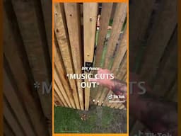 PLEASE Check With Your Local Utilities Before Building Your Own Fence #shorts #fence #diy