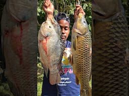 THE BIGGEST TILAPIA N CARPS WE EVER CAUGHT #fishing