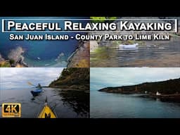 Peaceful Relaxing Kayaking San Juan Island County Park to Lime Kiln 4K - Nature Paddling Birds Seals