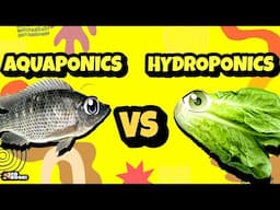 Hydroponic Vs Aquaponic Best Profitable & Will Make You Ultimate Rich