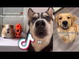 The CUTEST and MOST ADORABLE Pets on TIKTOK...