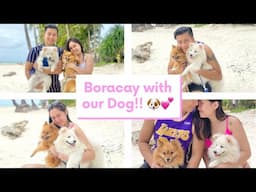 BORACAY VLOG 2022 | New Year | Travelling with our Dogs 🐶🎉