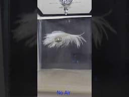 A feather and a cube fall at the same rate