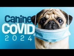 Canine COVID 2024 Outbreak EXPOSED What You Need to Know