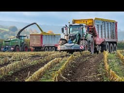 Mais 2024 / Fendt 942 / Entreprise Lapraille / Ardennen / Maize silage