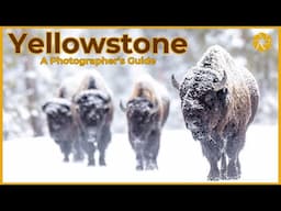 Guts and Janine's Yellowstone Photo Tour