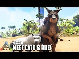 Kangaroo & Dire Wolf Taming! | Ep 6 | Ark Survival Evolved Xbox One