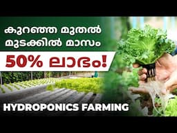 കുറഞ്ഞ മുതൽ മുടക്കിൽ മാസം 50% ലാഭം ഉറപ്പ്! | Hydroponics Farming In Malayalam