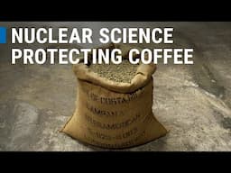 How Nuclear Science Uncovers the Story of Coffee