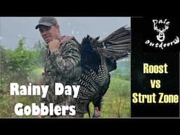 Setting Up on Late Season Gobblers/ ROOST vs STRUT ZONE/ Which Is Best?