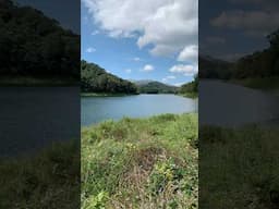 Idukki dam reservoir #shorts #kerala