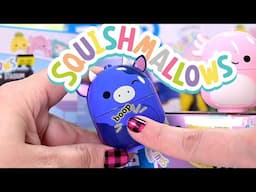 Do you wanna build a Squishmallow?