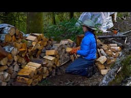 Firewood, Tree Work, and Brush Clearing