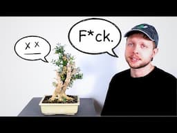 How to Deal with DIEBACK in Bonsai