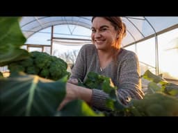 I'm a bit sheepish (Winter Garden Harvest) | VLOG