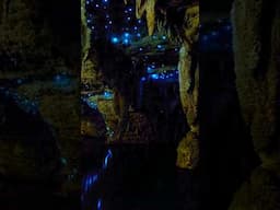 Glowworm caves New Zealand #mesmerizing #nature #beautiful #love #beauty #photography #satisfying