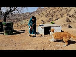 Nomadic bread baking: life in the mountains