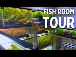 20 Year Hobbyist's DIRTED, NO FILTER FISH ROOM TOUR! | ​⁠@pattys_aquatics INTERVIEW