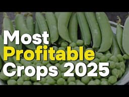 5 Most Profitable Crops to Grow in 2025 for Small Scale Farmers