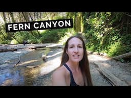 Fern Canyon Northern California Redwoods Hike