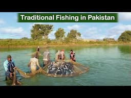 Fish Farm Trip | Village Life Fish Farming |