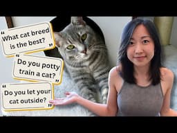 Answering Cat Care FAQs!