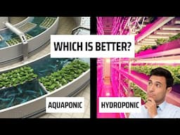 Vertical Farming: Hydroponic Vs Aquaponic [What's the best]