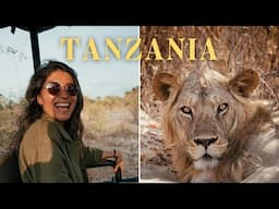 Safari of a Lifetime | Tanzania Cinematic Documentary